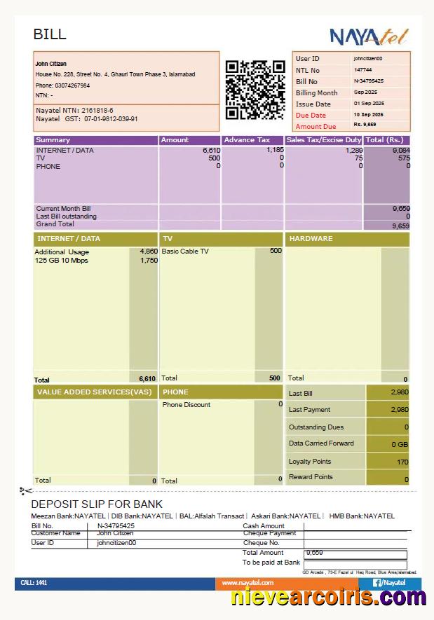 Pakistan NAYAtel utility bill
